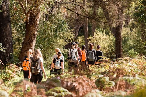 Half-Day Yanchep Ghost House Wilderness Guided Hike Tour - Accommodation Bookings 0