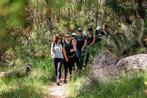 Half-Day Yanchep Ghost House Wilderness Guided Hike Tour - Accommodation Bookings 3