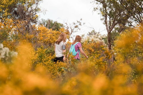 Half-Day Yanchep Ghost House Wilderness Guided Hike Tour - Accommodation Bookings 4