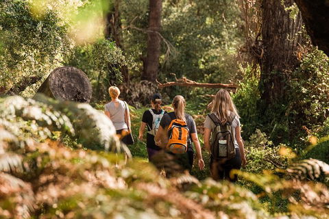 Half-Day Yanchep Ghost House Wilderness Guided Hike Tour - Accommodation Bookings 5