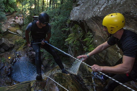 Blue Mountains Empress Canyon Adventure From Wentworth Falls - Accommodation Bookings 2