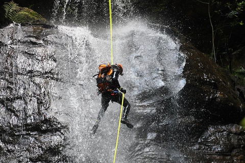 Blue Mountains Empress Canyon Adventure From Wentworth Falls - Accommodation Bookings 3