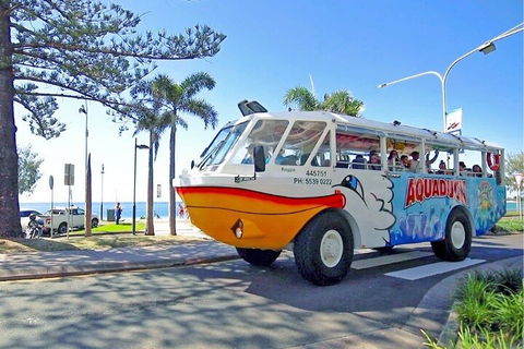 Aquaduck Sunshine Coast - Accommodation Bookings 1