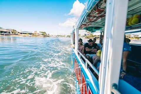 Aquaduck Sunshine Coast - Accommodation Bookings 5