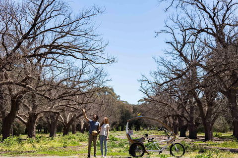 Adelaide 90-Minute Pedicab Tour: Scenic Green & River Experience - Accommodation Bookings 1