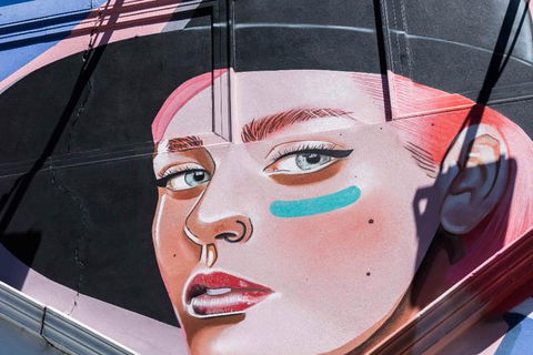 Adelaide 90-Minute Pedicab Tour: Street Art Experience - Accommodation Bookings 1