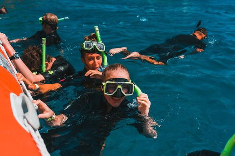 Whitehaven Beach And Hill Inlet Lookout Full-Day Snorkeling Cruise By High-Speed Catamaran - Accommodation Bookings 3