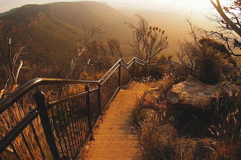 Blue Mountains Vintage Cadillac Tour With Local Guide - Accommodation Bookings 3