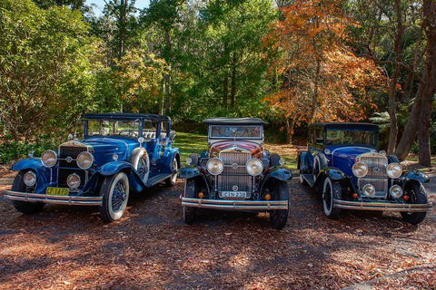 Blue Mountains Vintage Cadillac Tour With Local Guide - Accommodation Bookings 4