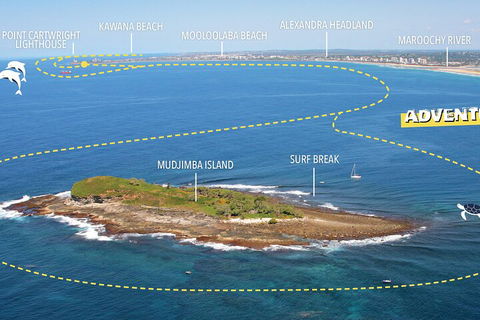 1.5HR Mudjimba Island Wildlife Safari - Accommodation Bookings 1