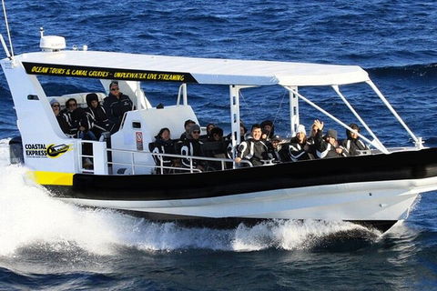 1.5HR Mudjimba Island Wildlife Safari - Accommodation Bookings 2