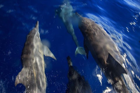 1.5HR Mudjimba Island Wildlife Safari - Accommodation Bookings 3