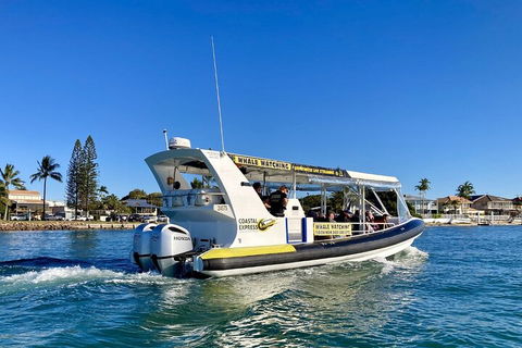 1.5HR Mudjimba Island Wildlife Safari - Accommodation Bookings 4
