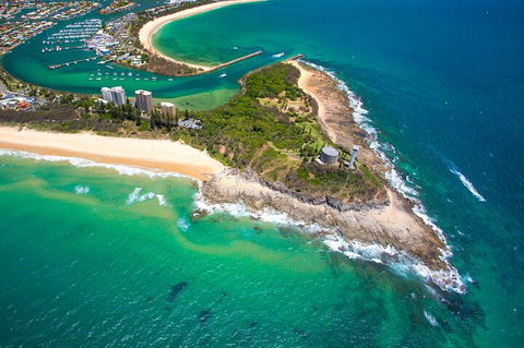 1.5HR Mudjimba Island Wildlife Safari - Accommodation Bookings 5