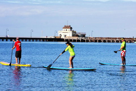 Private Stand-Up Paddle Board Lesson At St Kilda - Accommodation Bookings 1
