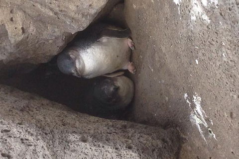 Food Tour Melbourne - St Kilda - Accommodation Bookings 3