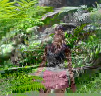 Full-Day Guided Hinterland Adventure Tour in Queensland - Accommodation Bookings