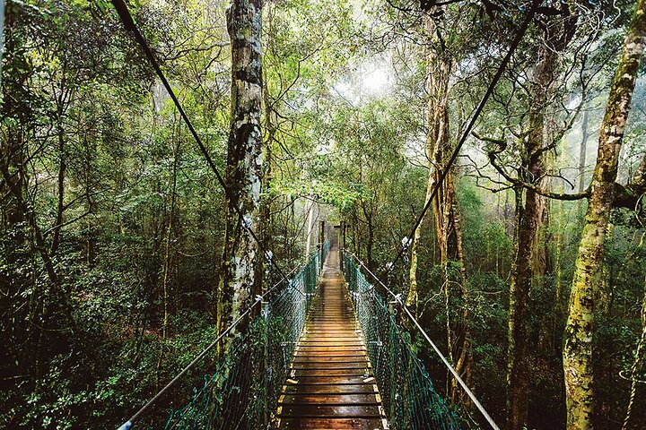 Bundall Bc QLD Accommodation Bookings