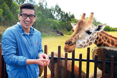Croc Express To Australia Zoo From Gold Coast - Accommodation Bookings 1