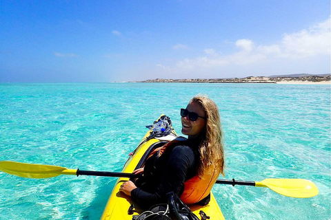 Lagoon Explorer - Ningaloo Reef Full-Day Kayaking And Snorkeling Adventure - Accommodation Bookings 1