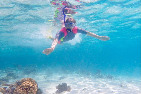 Lagoon Explorer - Ningaloo Reef Full-Day Kayaking And Snorkeling Adventure - Accommodation Bookings 5