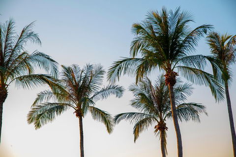 Darwin City Sightseeing Tour - Accommodation Bookings 0