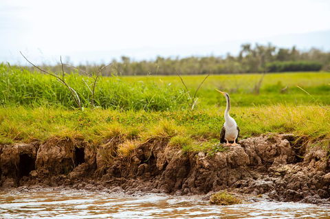 Darwin City Sights And Jumping Crocodile Cruise - Accommodation Bookings 2