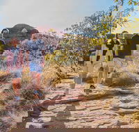 Kings Canyon Day Trip from Ayers Rock Uluru - Accommodation Bookings