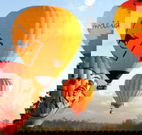 Natural Bridge  Springbrook Waterfalls Tour  Hot Air Balloon with Breakfast - Accommodation Bookings