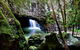 Natural Bridge & Springbrook Waterfalls Tour + Hot Air Balloon With Breakfast - thumb 4