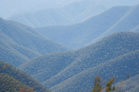 From The Mountains To The Bay - 4 Day Rediscovery Private Tour - Accommodation Bookings 1