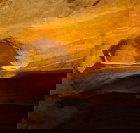 From the Mountains to the Bay - 4 Day Rediscovery Small Group Tour - Accommodation Bookings