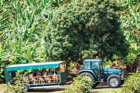 Northern Rivers Full Day Wine Tour - Accommodation Bookings 1