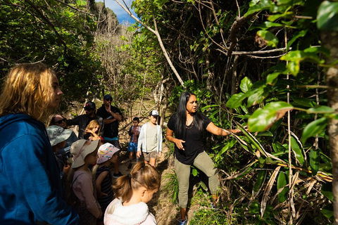 Cape Byron Aboriginal Tour - Accommodation Bookings 4