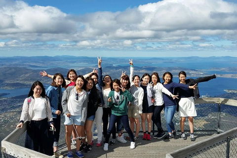 Mt Field National Park Active Day-Trip Including Bonorong And Mt Wellington - Accommodation Bookings 2