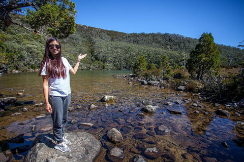 Mt Field National Park Active Day-Trip Including Bonorong And Mt Wellington - Accommodation Bookings 4