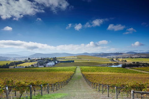 Yarra Valley Wine And Wildlife Self-Driving Tour - Accommodation Bookings 1