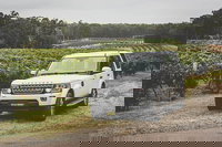 Hideaway Private Tours Hunter Valley- Indulgence Wine Tour Full Day, Hunterview