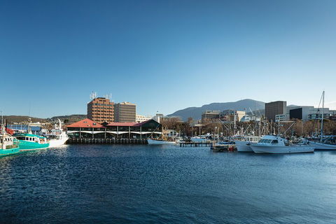 Hobart City Sightseeing Tour Including MONA Admission - Accommodation Bookings 0