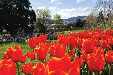 Hobart City Sightseeing Tour Including MONA Admission - Accommodation Bookings 4