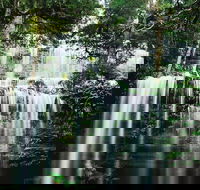 Mt Field National Park and Russell Falls from Hobart - Accommodation Bookings