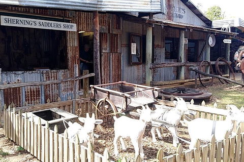 Full Day Atherton Tablelands Tour From Cairns - Accommodation Bookings 4