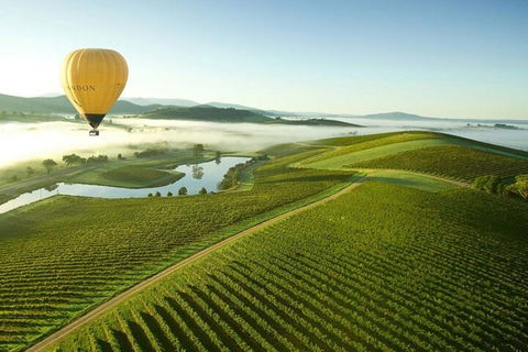 Half-Day Or Full-Day Tour With Private Guide From Melbourne - Accommodation Bookings 4