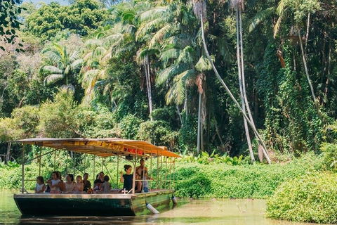 Tropical Fruit World Farm Full Tour - Accommodation Bookings 0