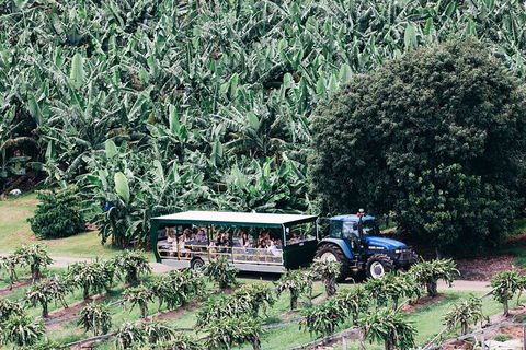Tropical Fruit World Farm Full Tour - Accommodation Bookings 5