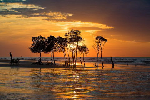 Delightful Darwin Self-Guided Audio Tour - Accommodation Bookings 3