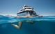 3 Day Great Barrier Reef, Daintree Rainforest And Outback Chillagoe Tour - thumb 0