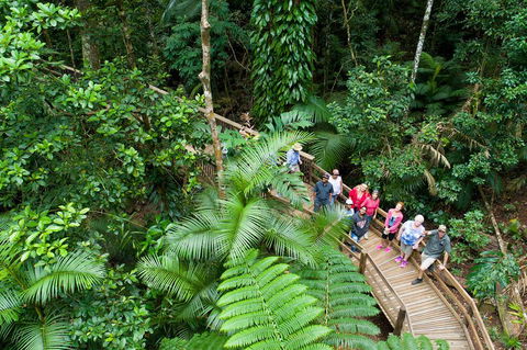 3 Day Great Barrier Reef, Daintree Rainforest And Outback Chillagoe Tour - Accommodation Bookings 2