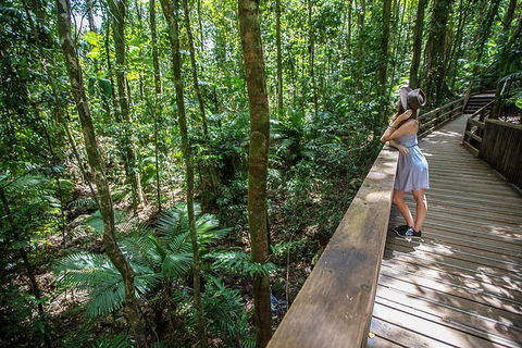 3 Day Great Barrier Reef, Daintree Rainforest And Outback Chillagoe Tour - Accommodation Bookings 3