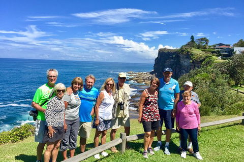Shore Excursion: Sydney's Northern Beaches & Ku-ring-gai National Park Bus Tour - Accommodation Bookings 0
